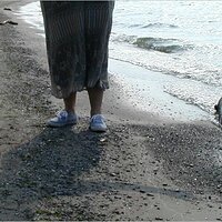  : Gallery : original : 2001 : 16 : P9090065.JPG