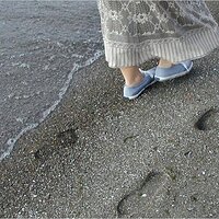  : Gallery : original : 2001 : 16 : P9090114.JPG