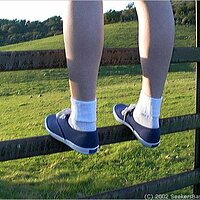  : Gallery : original : 2002 : 03 : San-Bad_schoolgirl_jumps_fence05.jpg