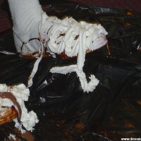  : Gallery : original : 2005 : 11 : DSC02033.JPG