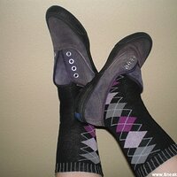  : Gallery : original : 2006 : 27 : P8010057.JPG