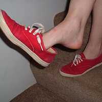  : Gallery : original : 2012 : 02 : Red14.JPG