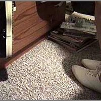  : Gallery : original : 2013 : 04 : 00000006_keds01.jpg