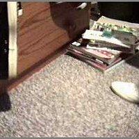  : Gallery : original : 2013 : 04 : 00000008_keds01.jpg