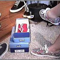  : Gallery : original : 2013 : 04 : 00000011_flower02.jpg