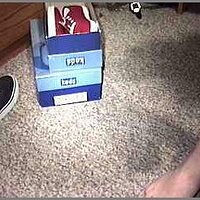  : Gallery : original : 2013 : 04 : 00000123_black.jpg