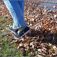  : Gallery : original : 2013 : 04 : DCP02422.JPG