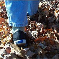  : Gallery : original : 2013 : 04 : DCP02424.JPG