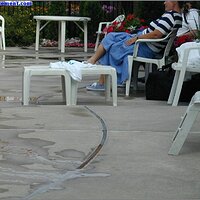  : Gallery : original : 2013 : 04 : Treaty140.jpg