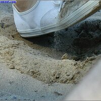  : Gallery : original : 2013 : 04 : Treaty163.jpg