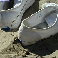  : Gallery : original : 2013 : 04 : Treaty175.jpg