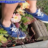  : Gallery : original : 2013 : 04 : bwhitst004.jpg