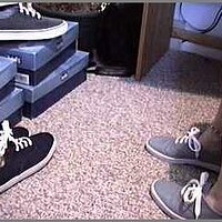  : Gallery : original : 2013 : 04 : cham425.jpg