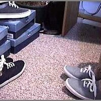  : Gallery : original : 2013 : 04 : cham430.jpg