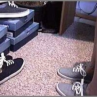  : Gallery : original : 2013 : 04 : cham480.jpg