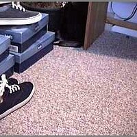  : Gallery : original : 2013 : 04 : cham592.jpg