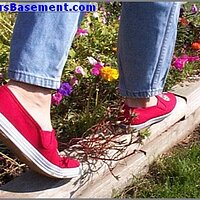  : Gallery : original : 2013 : 04 : slred009.jpg