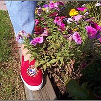  : Gallery : original : 2013 : 04 : slred010.jpg