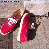  : Gallery : original : 2013 : 04 : whitsts001.jpg