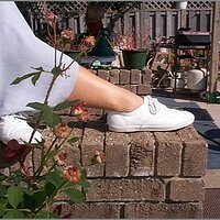  : Gallery : original : 2013 : 04 : whlea12.JPG