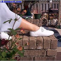  : Gallery : original : 2013 : 04 : whlea26.jpg