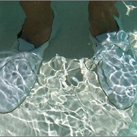  : Gallery : original : 2013 : 07 : silvr43f.jpg