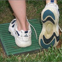  : Gallery : original : 2013 : 07 : silvr60c.jpg