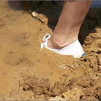  : Gallery : original : 2013 : 07 : silvr69c.jpg