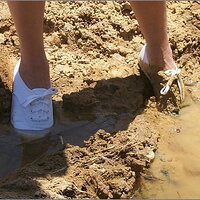  : Gallery : original : 2013 : 07 : silvr69d.jpg