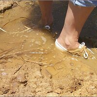  : Gallery : original : 2013 : 07 : silvr69e.jpg