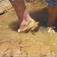  : Gallery : original : 2013 : 07 : silvr69f.jpg