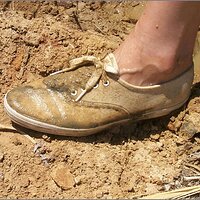  : Gallery : original : 2013 : 07 : silvr69h.jpg