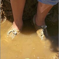  : Gallery : original : 2013 : 07 : silvr69i.jpg