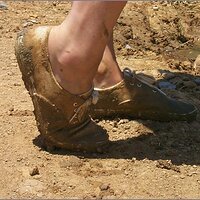  : Gallery : original : 2013 : 07 : silvr69l.jpg