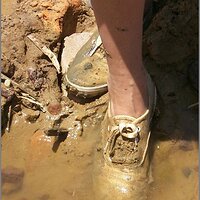  : Gallery : original : 2013 : 07 : silvr69m.jpg