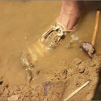  : Gallery : original : 2013 : 07 : silvr69n.jpg