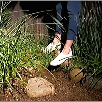  : Gallery : original : 2013 : 08 : San-d036.jpg