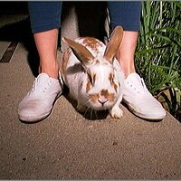  : Gallery : original : 2013 : 08 : San-d039.jpg