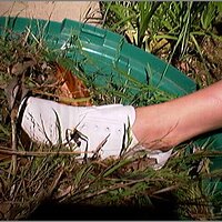  : Gallery : original : 2013 : 08 : San-d041.jpg