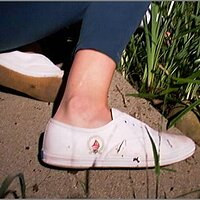  : Gallery : original : 2013 : 08 : San-d048.jpg