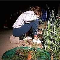  : Gallery : original : 2013 : 08 : San-d057.jpg