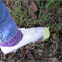  : Gallery : original : 2013 : 08 : San-d063.jpg