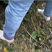  : Gallery : original : 2013 : 08 : San-d066.jpg