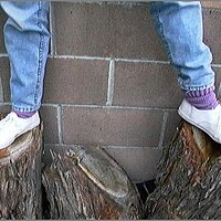  : Gallery : original : 2013 : 08 : San-d073.jpg