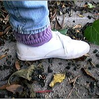  : Gallery : original : 2013 : 08 : San-d074.jpg