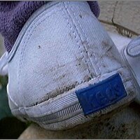  : Gallery : original : 2013 : 08 : San-d081.jpg