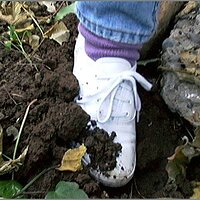  : Gallery : original : 2013 : 08 : San-d082.jpg