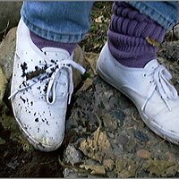  : Gallery : original : 2013 : 08 : San-d083.jpg