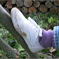  : Gallery : original : 2013 : 08 : San-d084.jpg