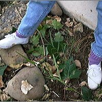  : Gallery : original : 2013 : 08 : San-d085.jpg